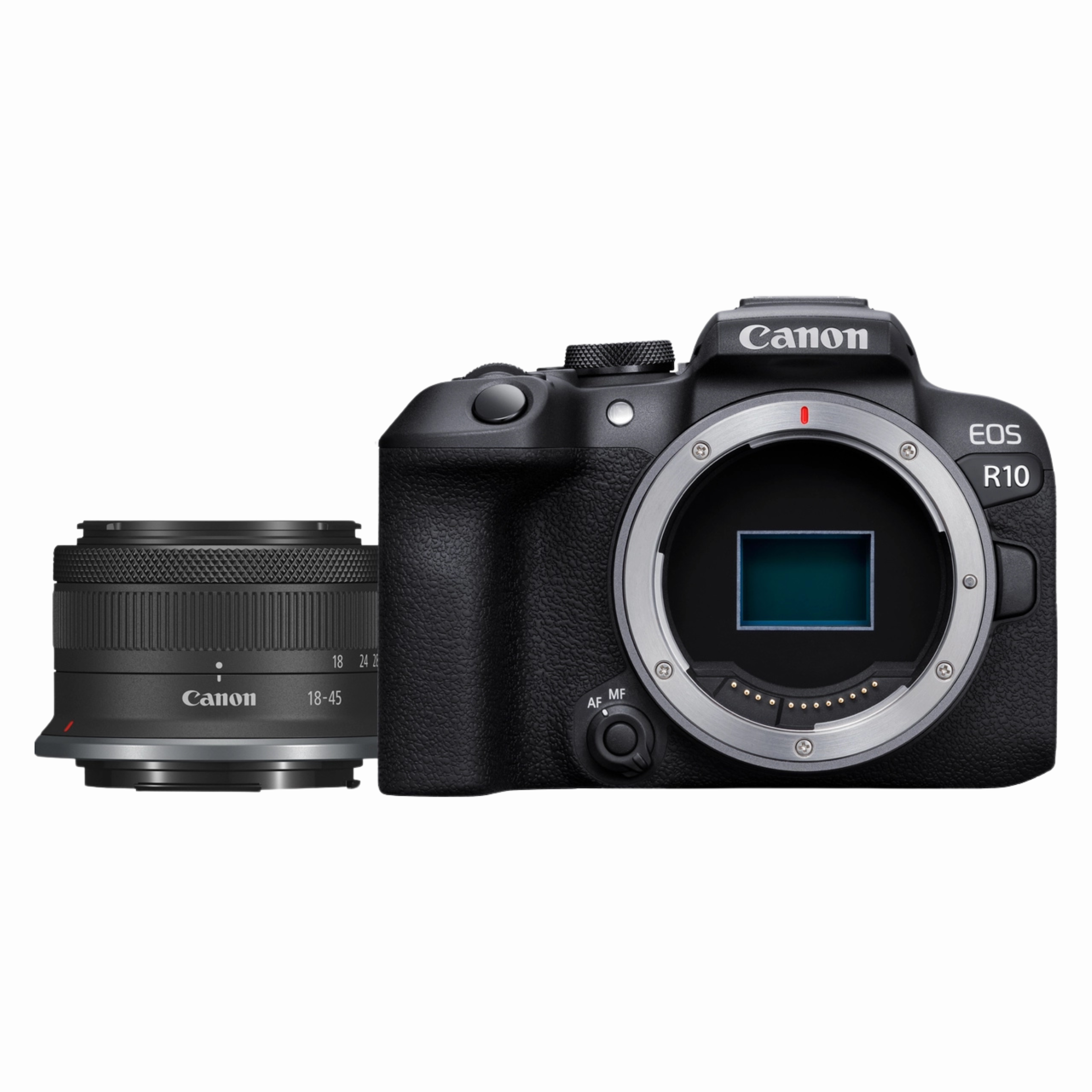 CANON_R10 (1)