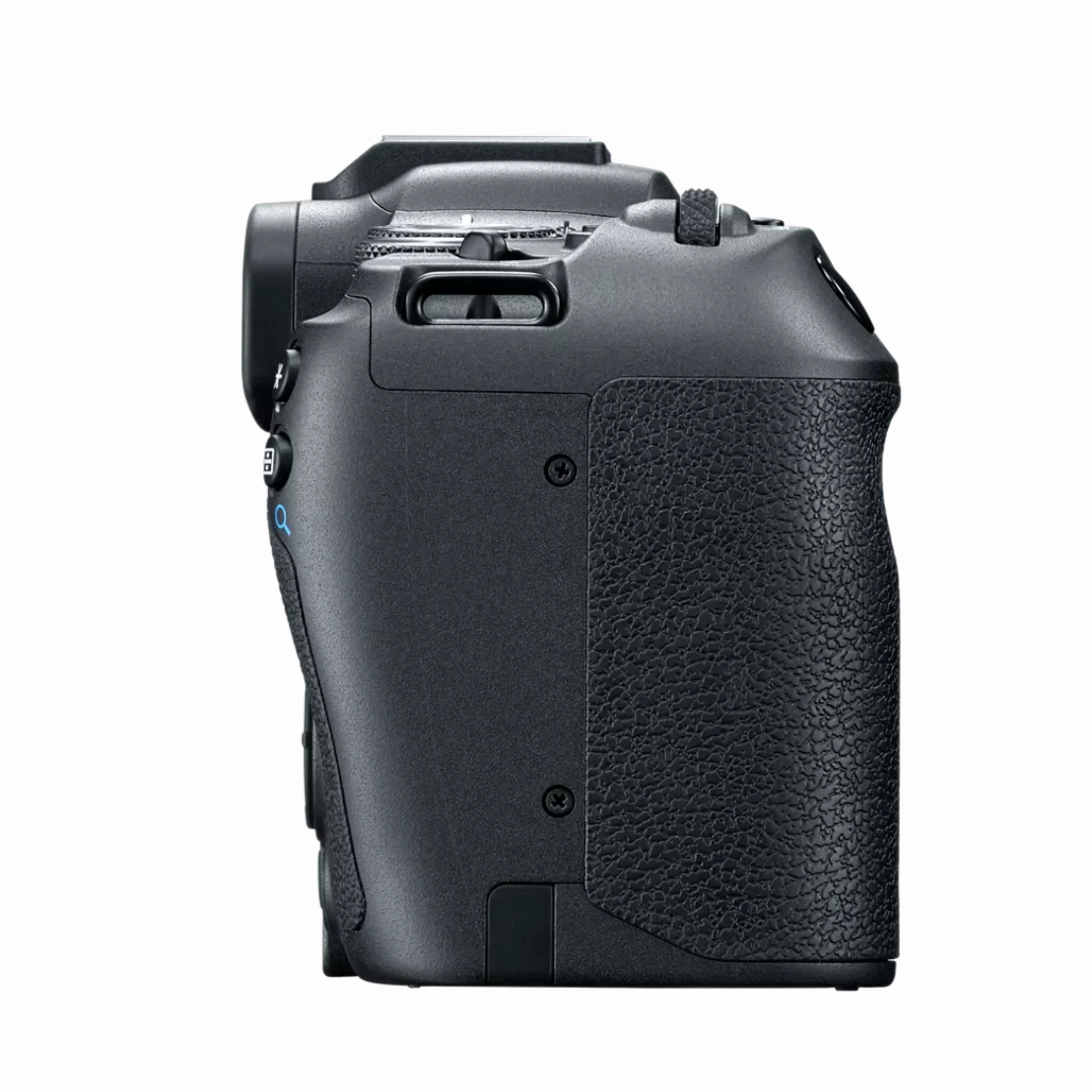 CANON_R8 (2)