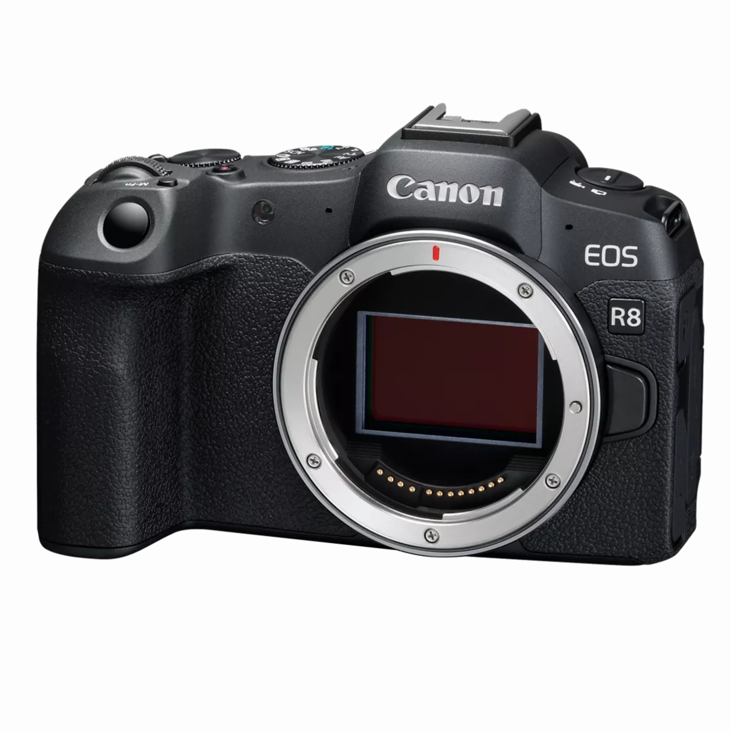 CANON_R8 (6)