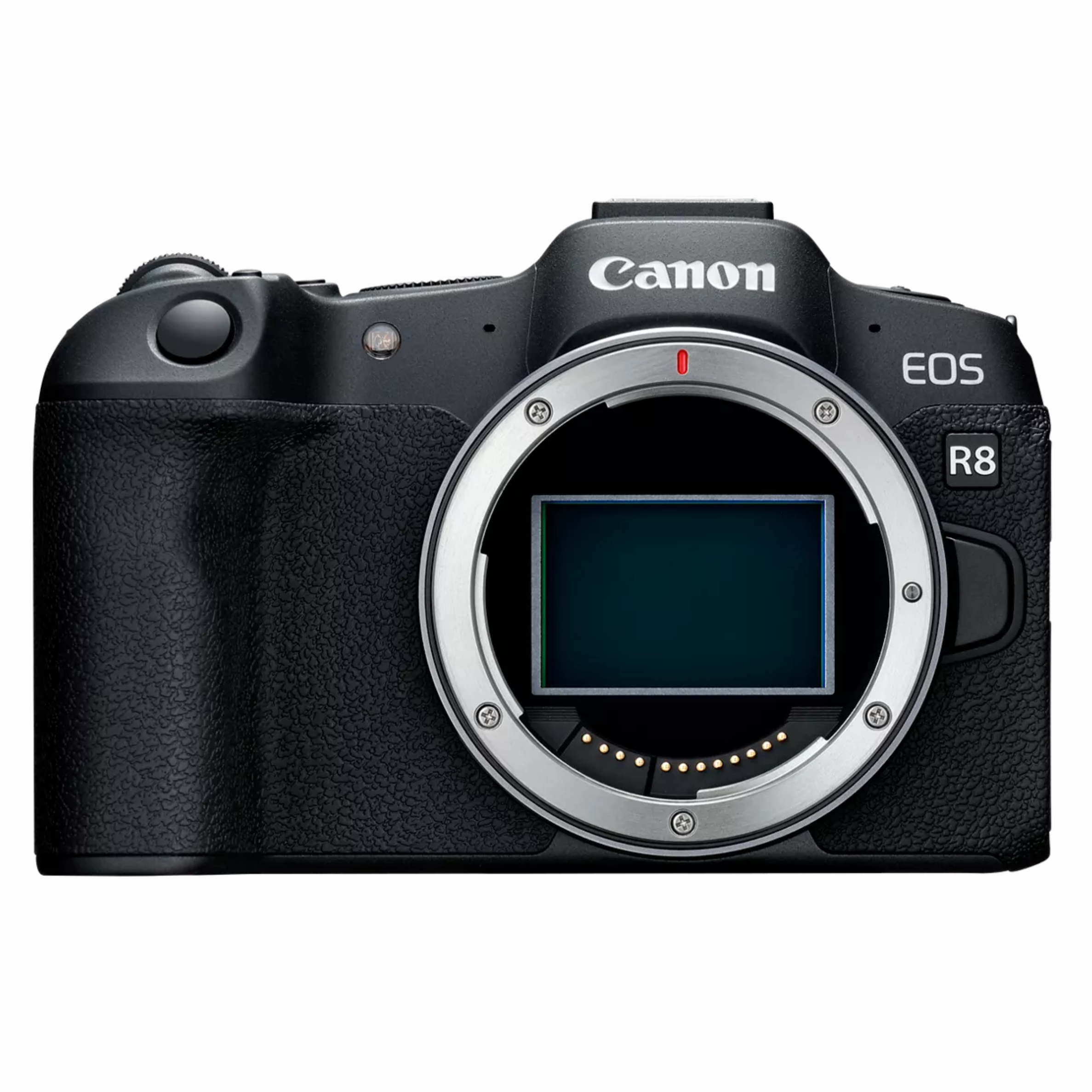 CANON_R8 (8)