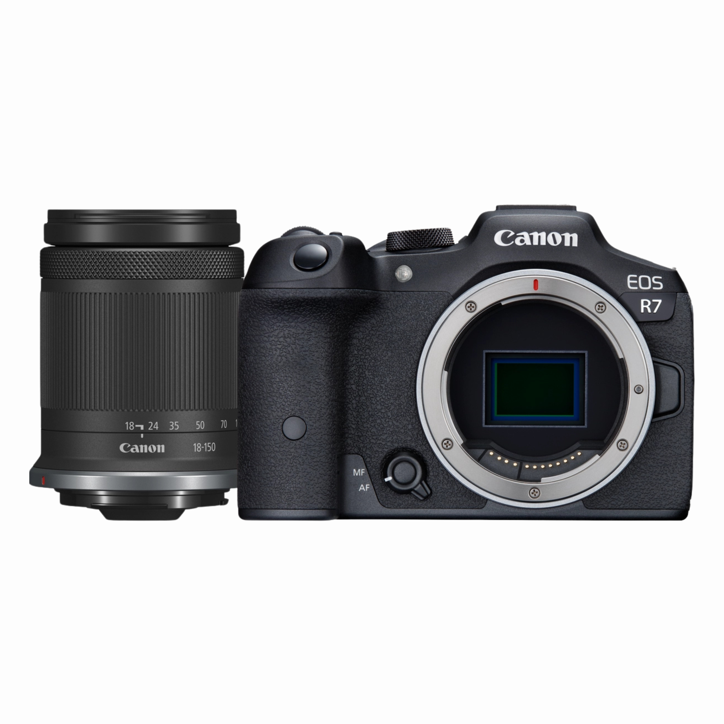 canon_R7 (3)